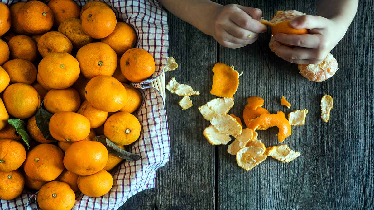 Transparent Wood Lemon-Oranges