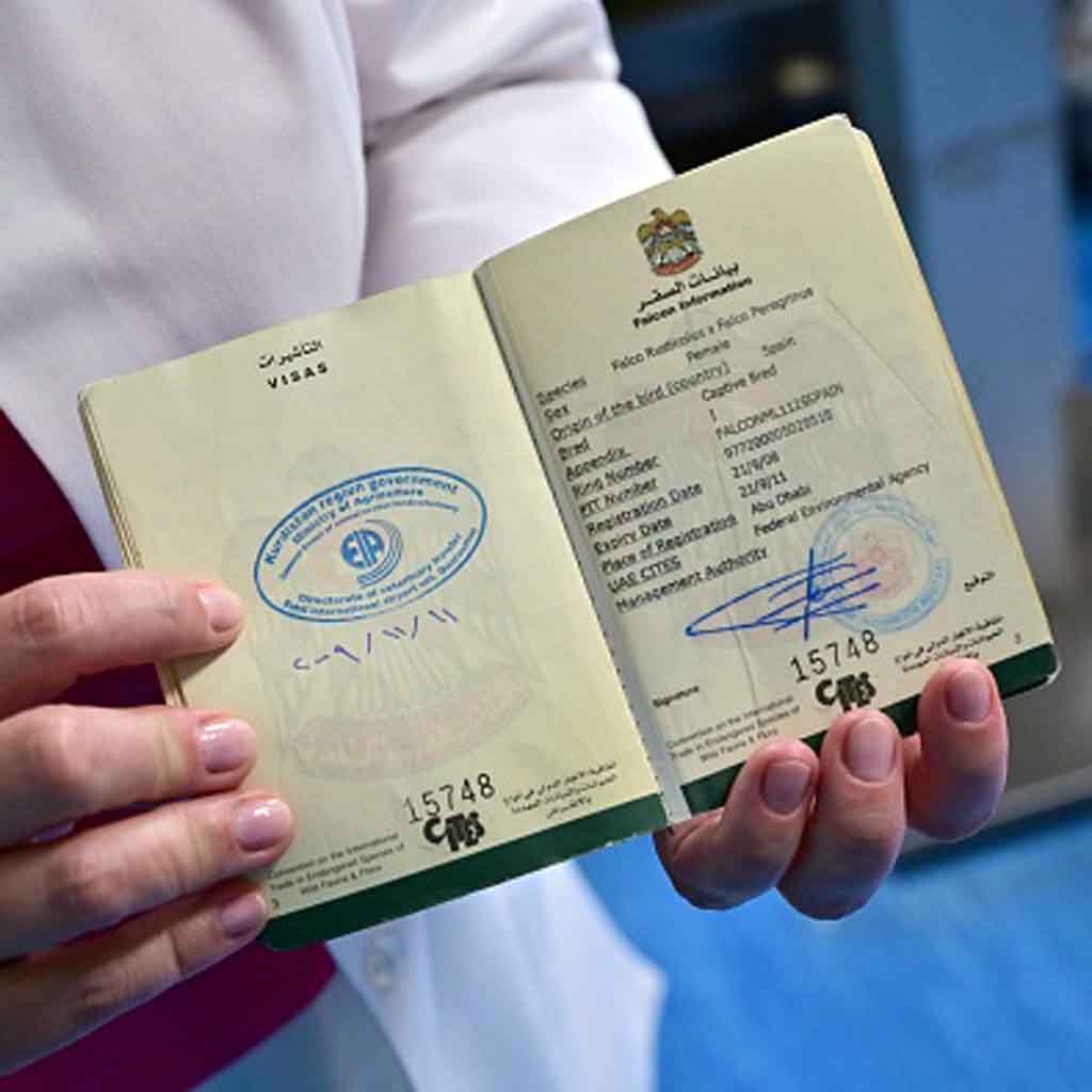 UAE Golden Visa