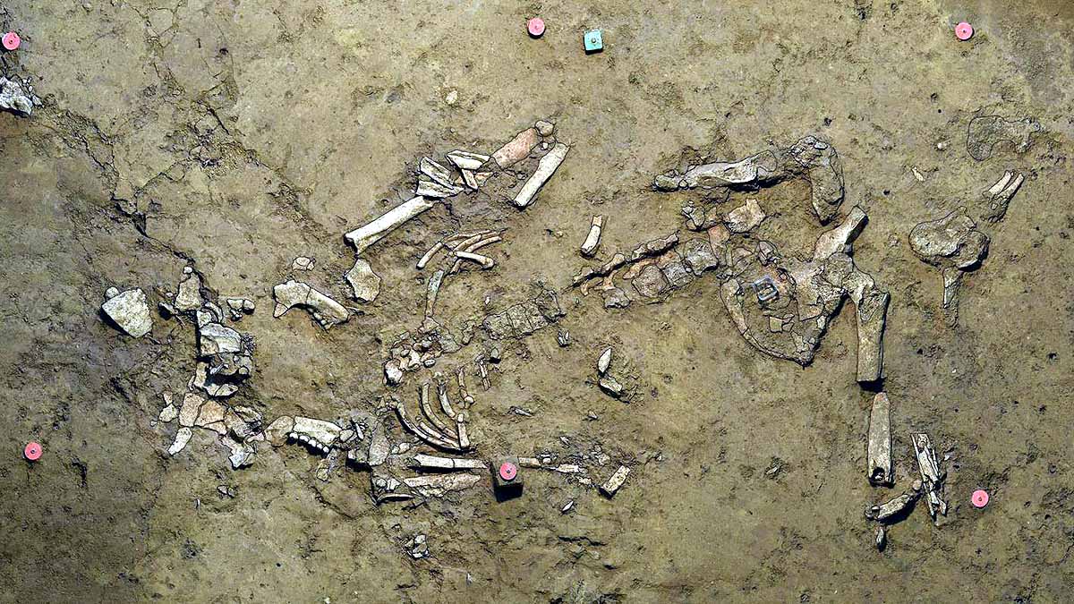 Oldest Gold Ornament