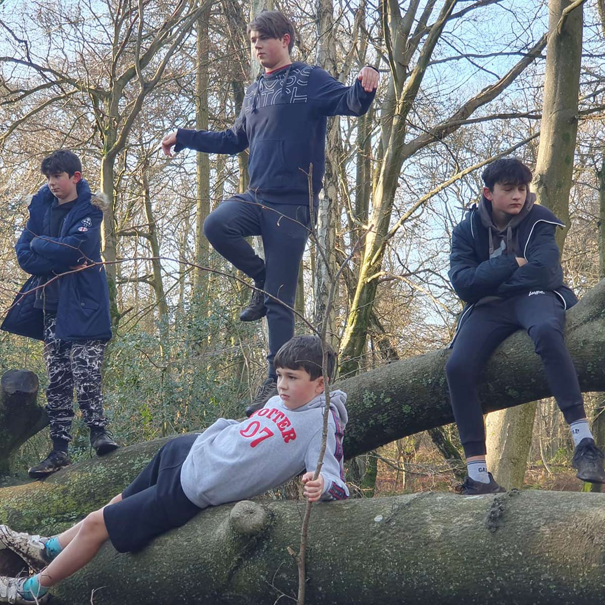 charlie bit my finger