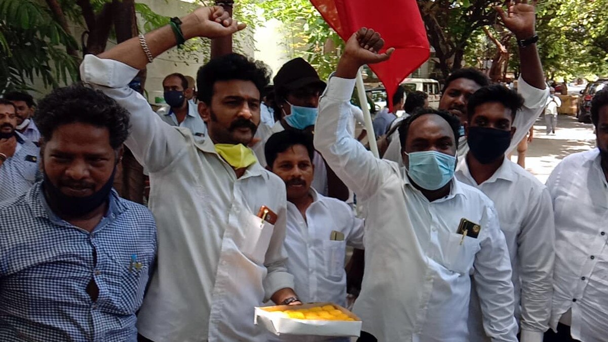 supporters celebrate election result