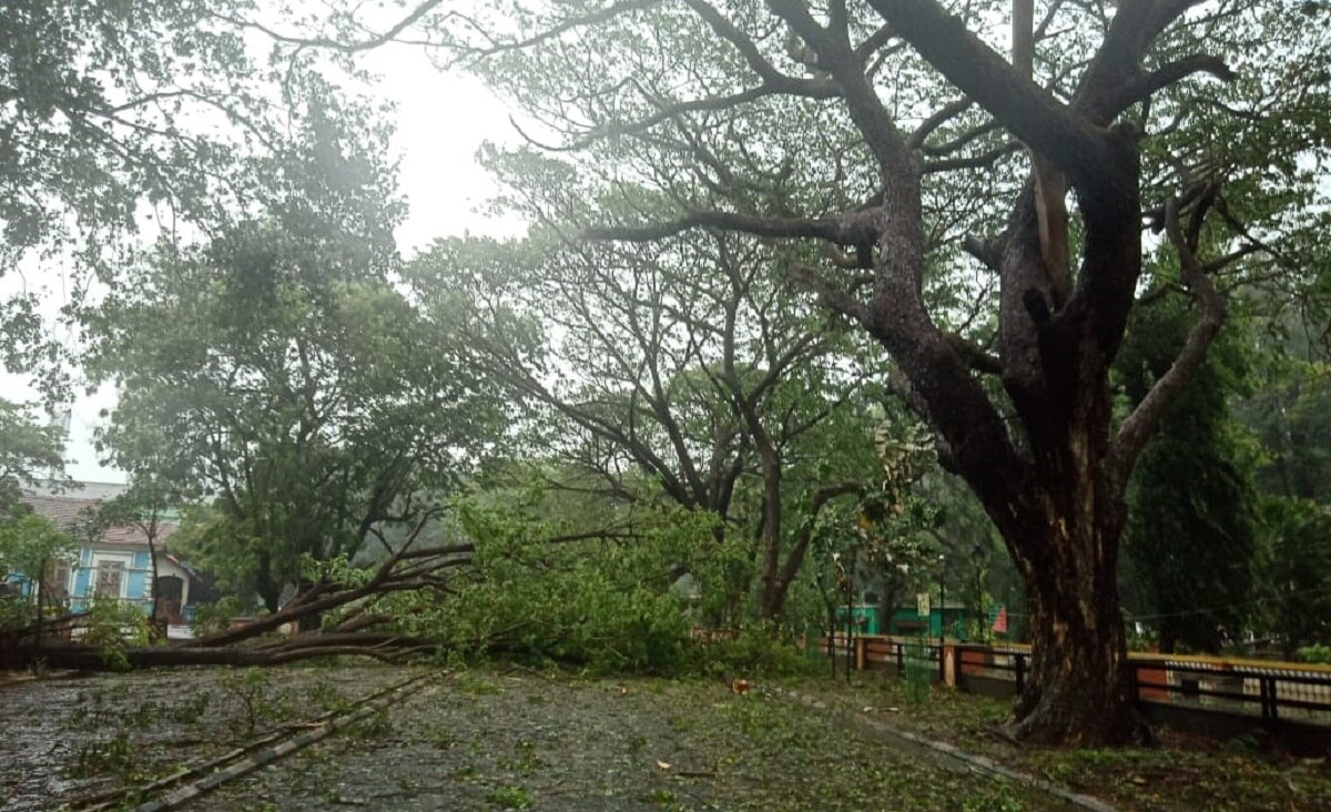 cyclone tauktae alert