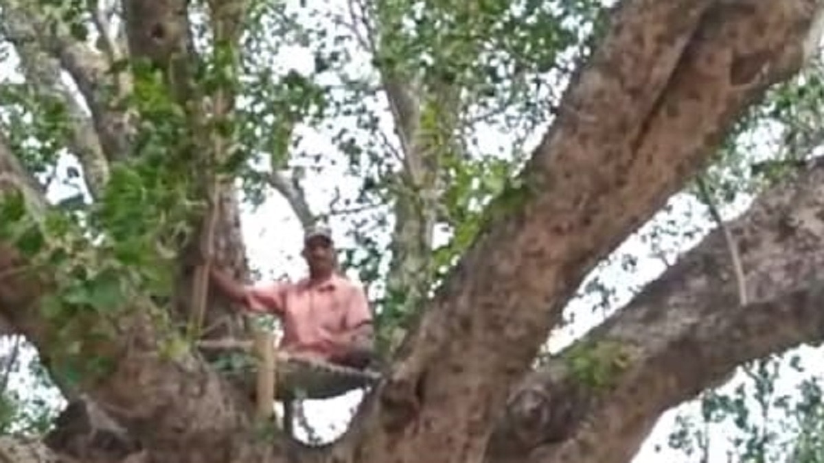 पीपल के पेड़ के नीचे