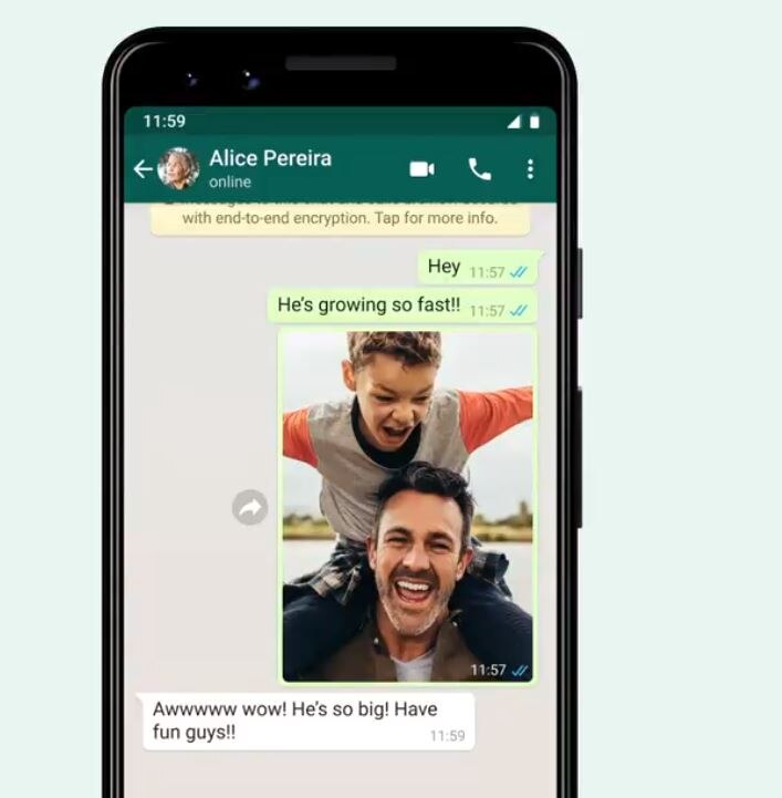 WhatsApp Large Preview
