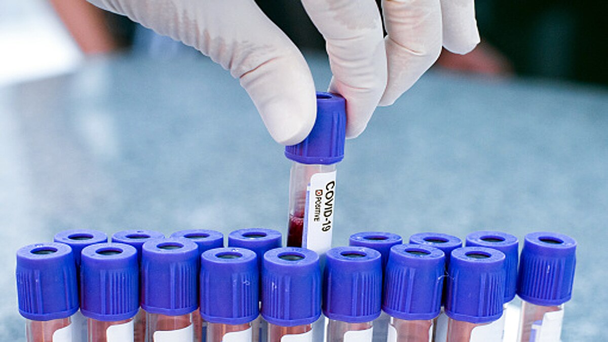 WHO scientist misquoted