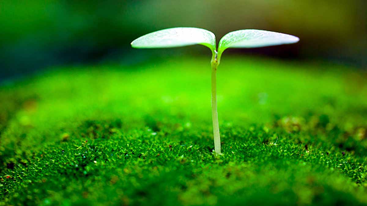 World's Longest Experiment