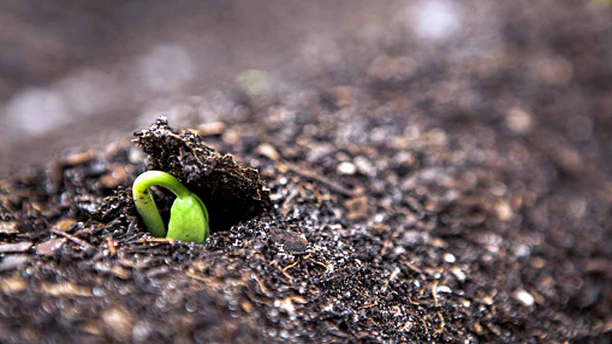 World's Longest Experiment