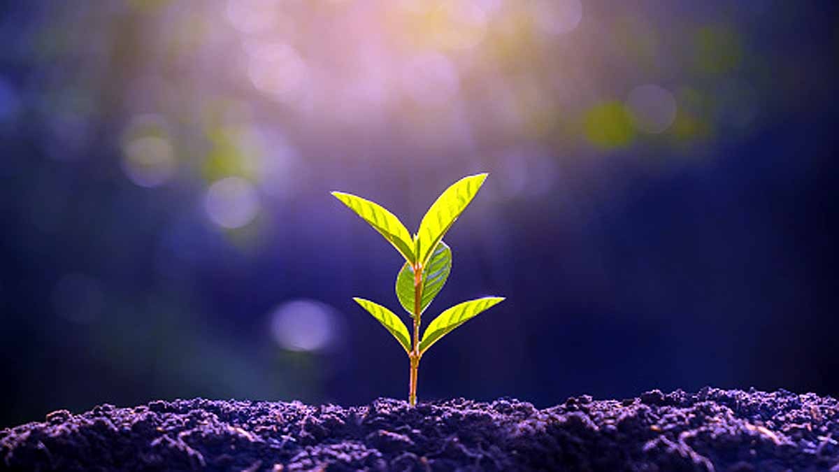 World's Longest Experiment