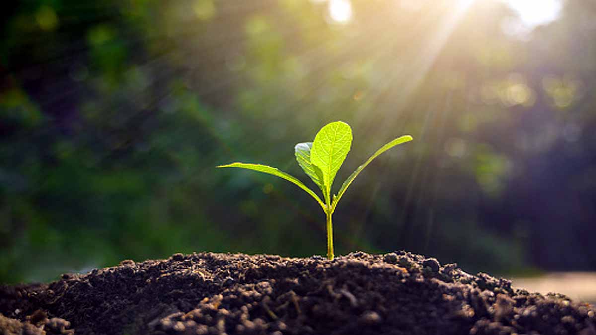 World's Longest Experiment