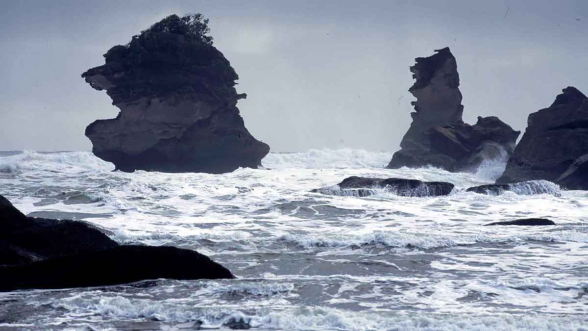 Zealandia New Subduction Zone