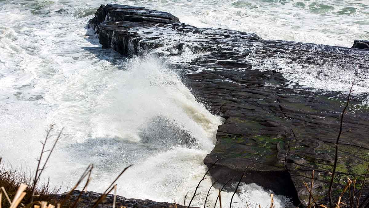 Zealandia New Subduction Zone