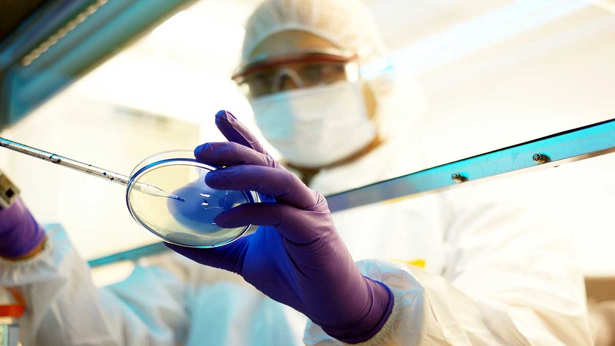 Scientist found Next pandemic