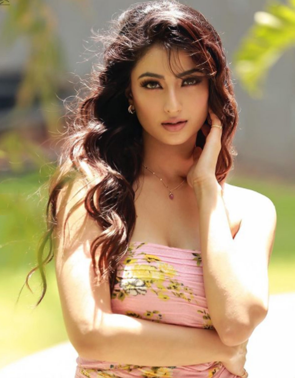 पलक तिवारी