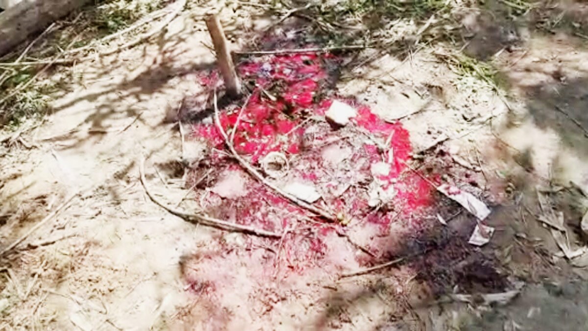 युवक ने सगे नाना की कुल्हाड़ी से काट कर हत्या कर दी  