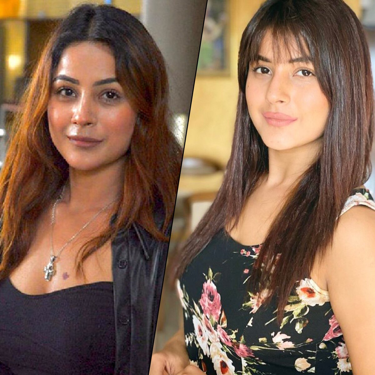 शहनाज गिल