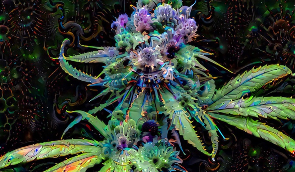 स्पलीमेंट्स3