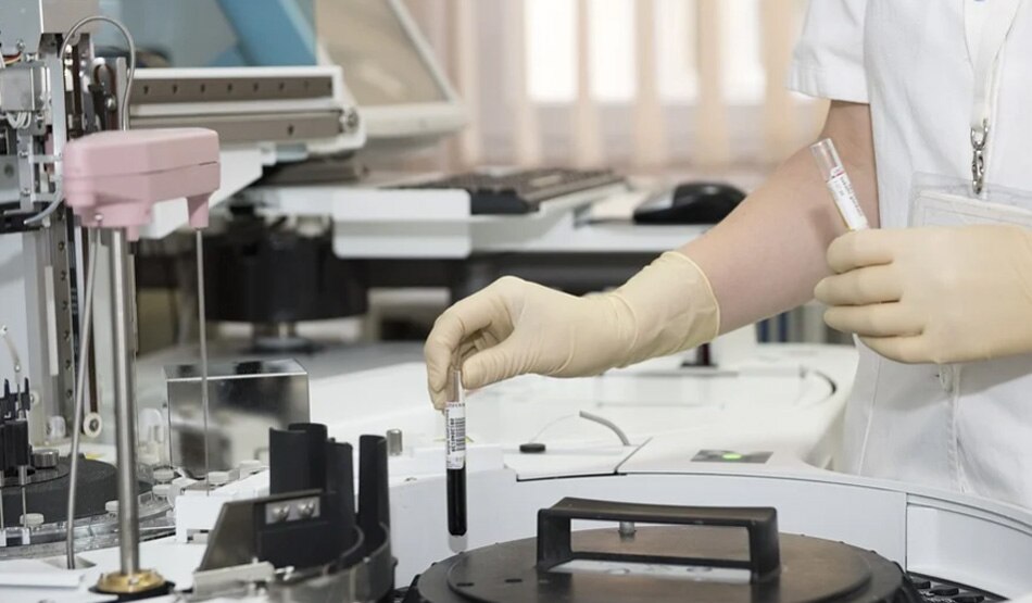 रिपोर्ट के मुताबिक6