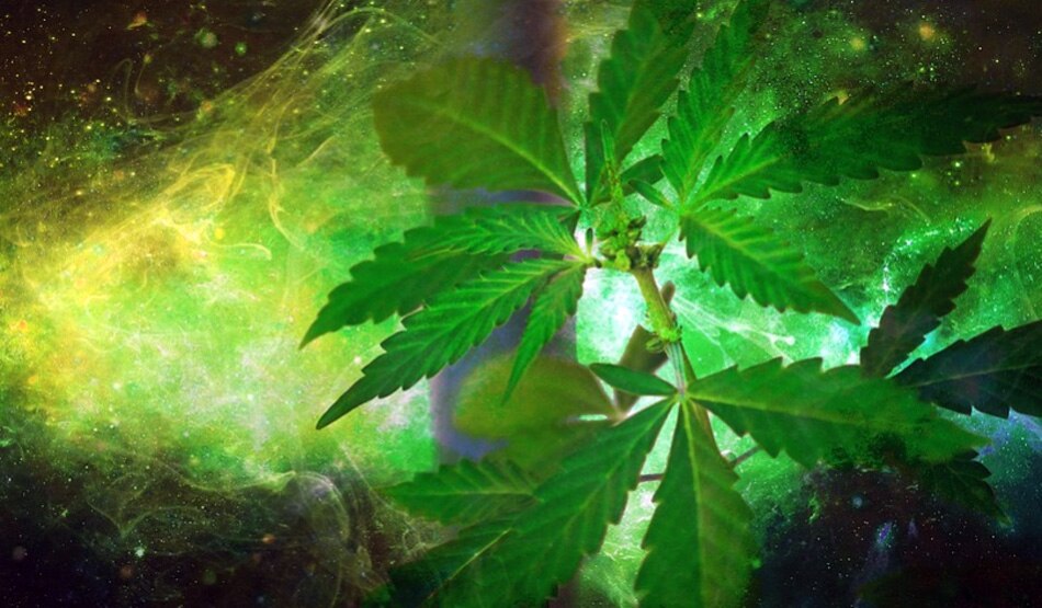 मस्तिष्क4