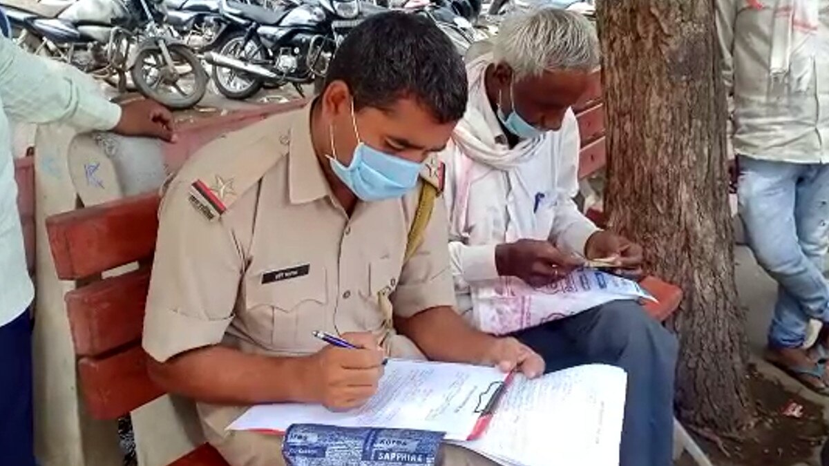 Dogs killed 6-year-old innocent 