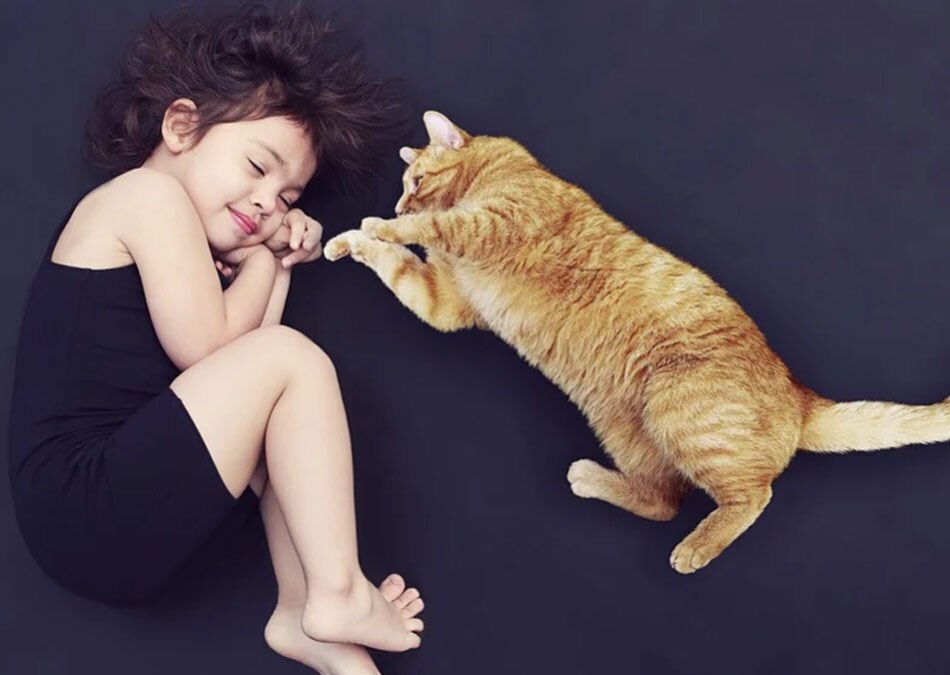 शिउासना