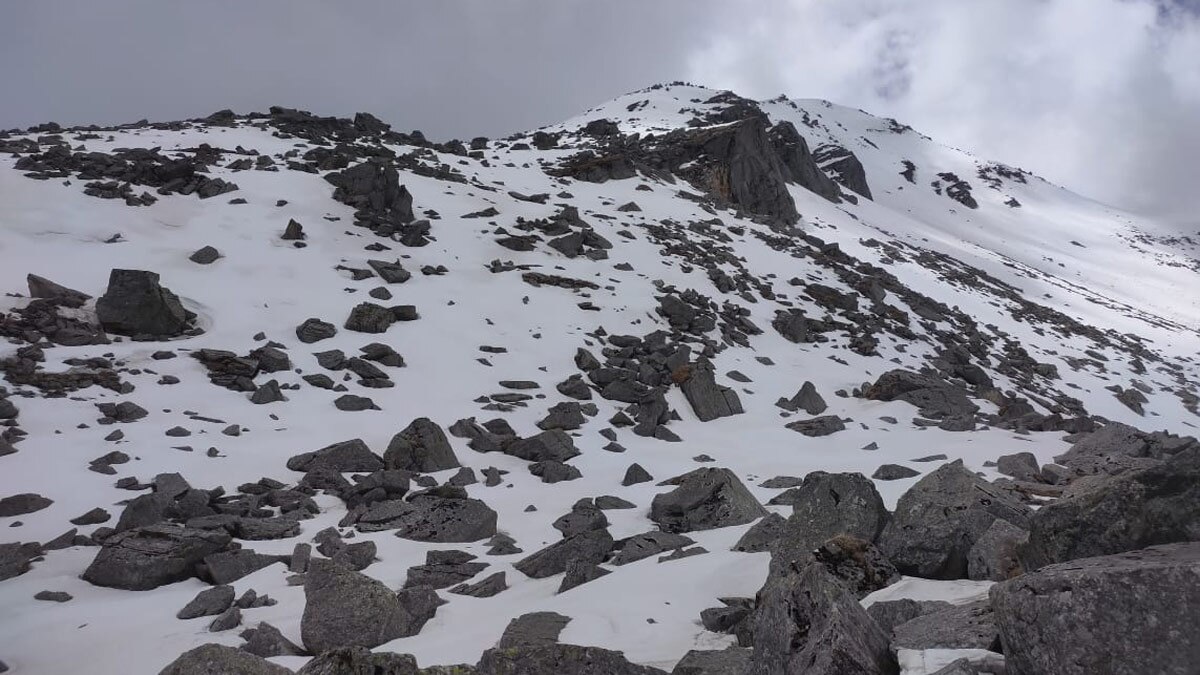 औली में बर्फबारी