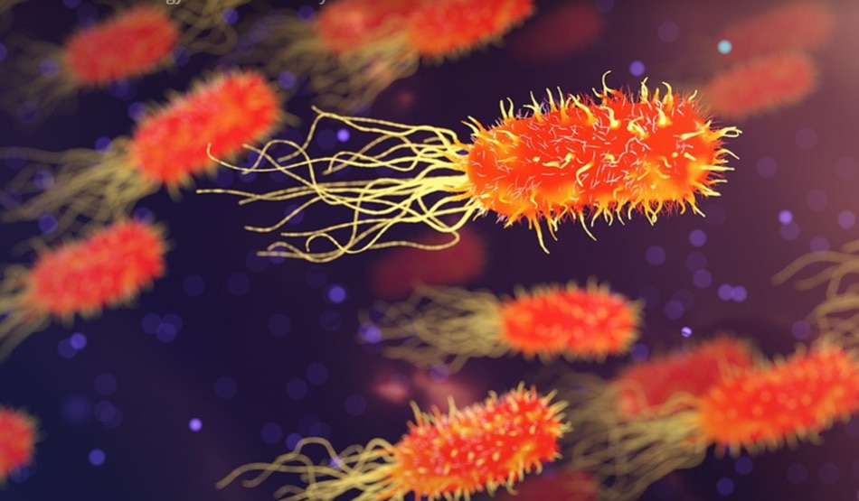 इंफेक्शन को रोकता है