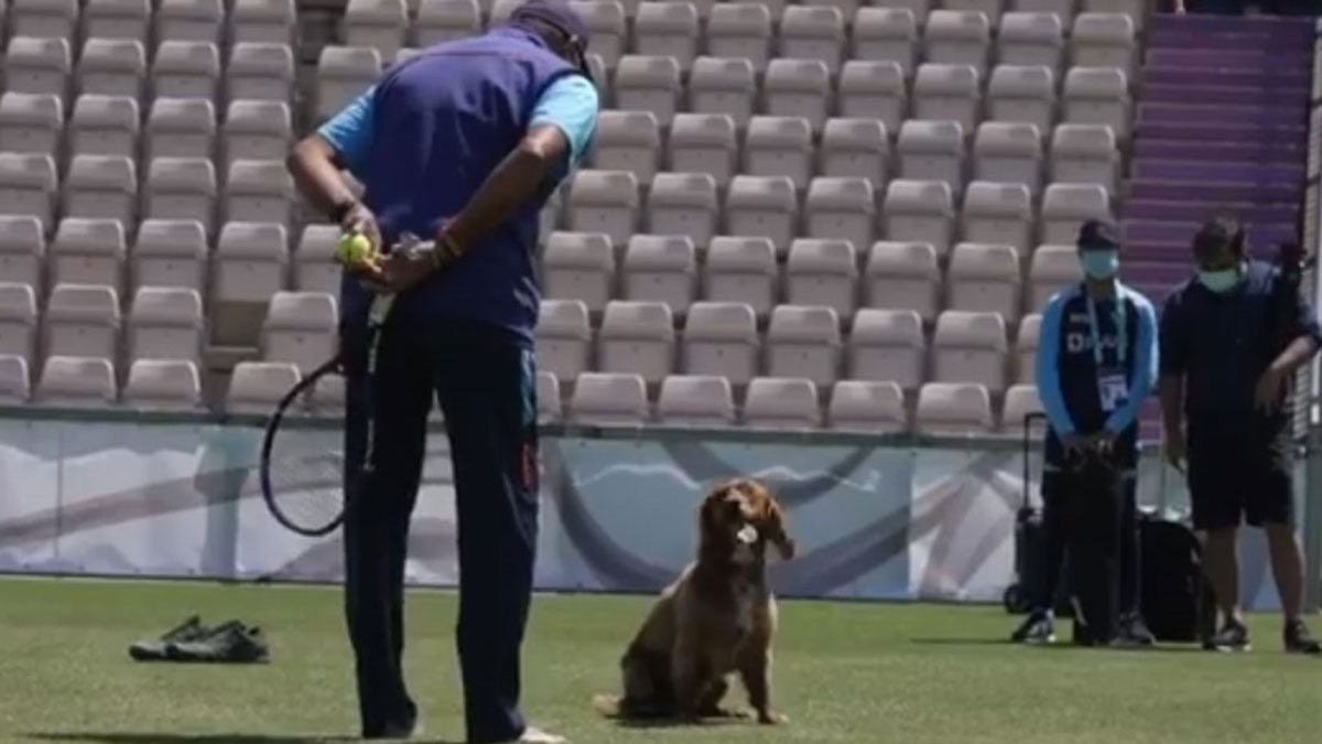 Ravi Shastri gets playful with a dog during practice sessions