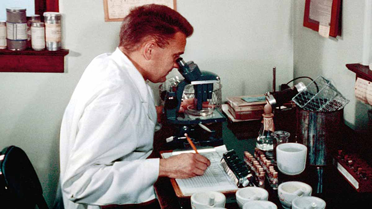 World's Oldest Plague