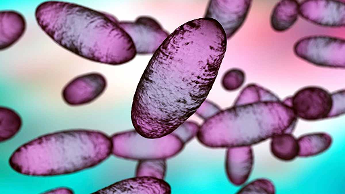 World's Oldest Plague