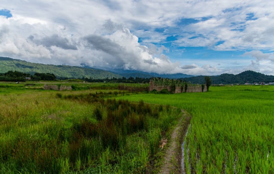 काकाबे, कर्नाटक