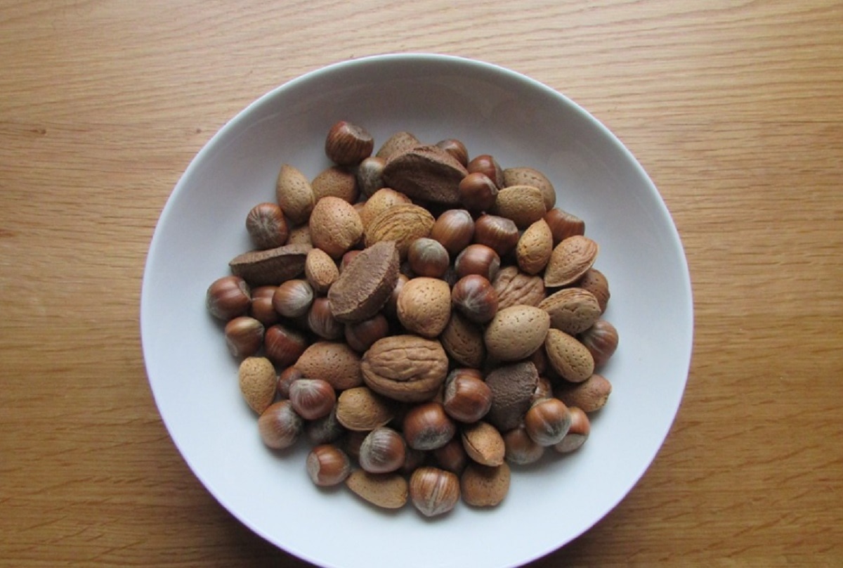 ब्राजील नट्स