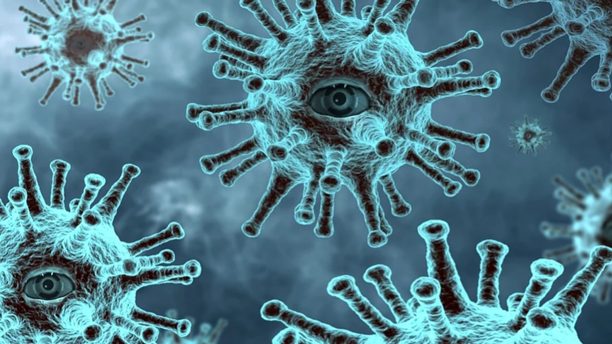 रिपोर्ट्स2