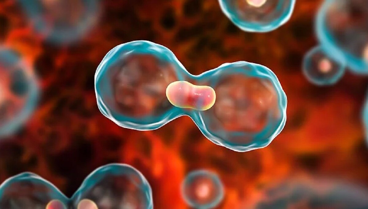 स्पर्म काउंट के लिए खतरनाक गांजा-स्टेरॉयड