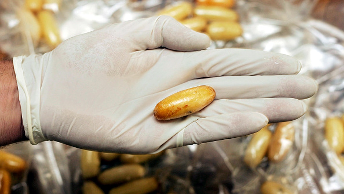 Cannabis Capsule Neurological Diseases 