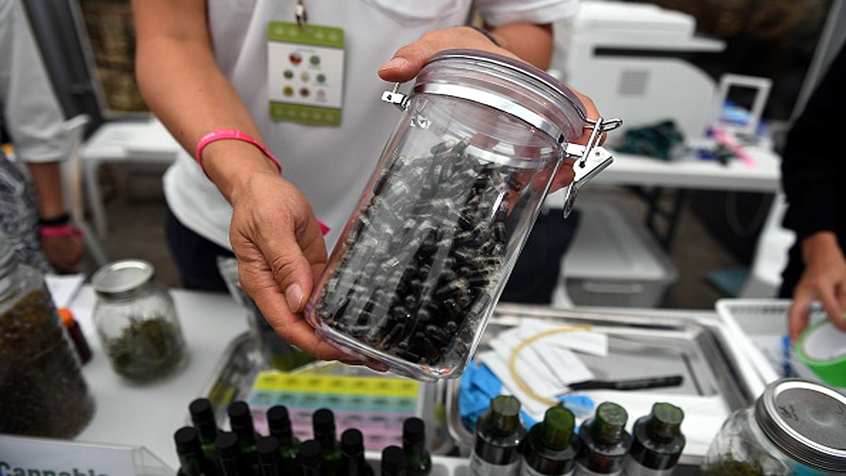 Cannabis Capsule Neurological Diseases 