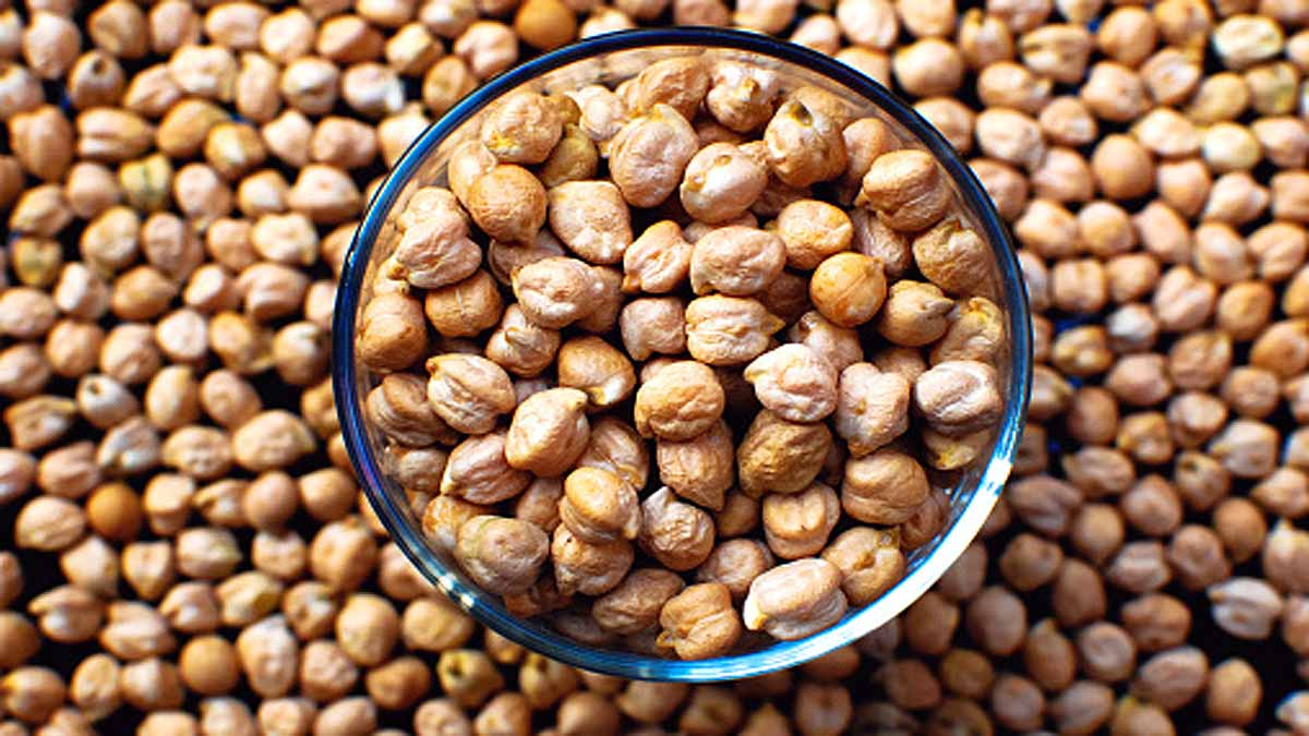 Growing Chickpeas on moon