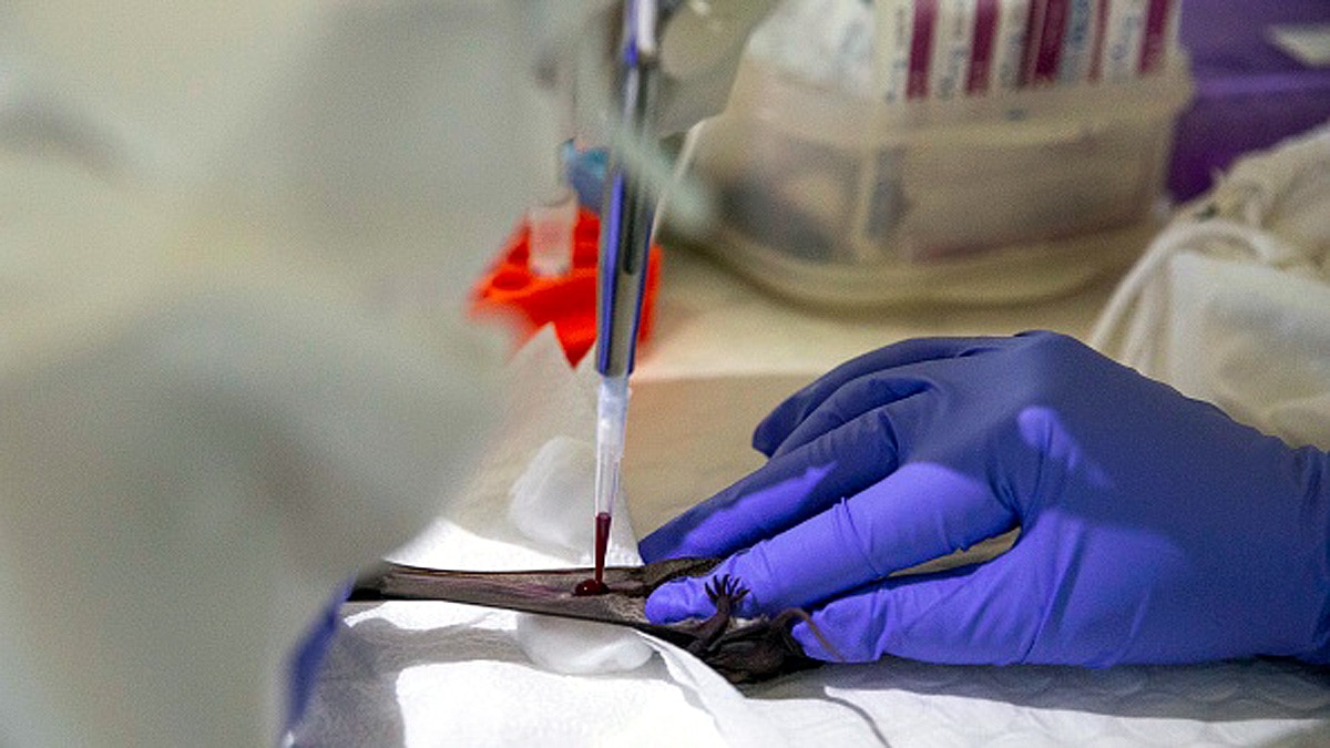 China 24 New Coronavirus