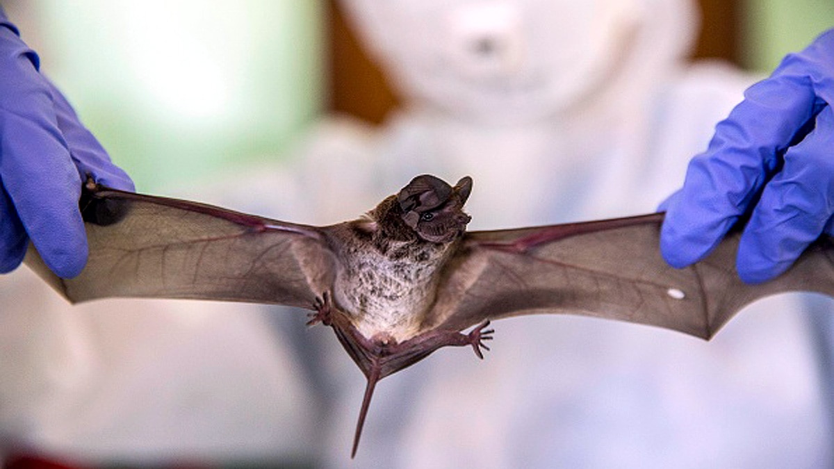 China 24 New Coronavirus