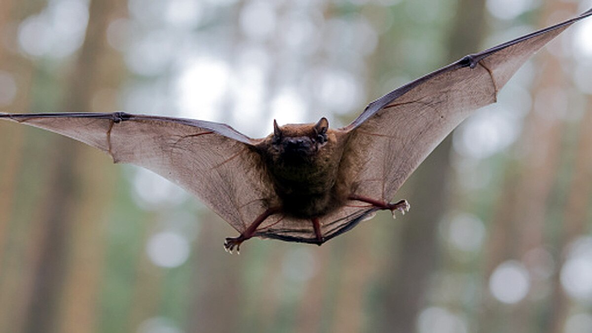 China 24 New Coronavirus