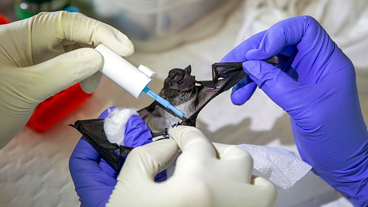 China 24 New Coronavirus