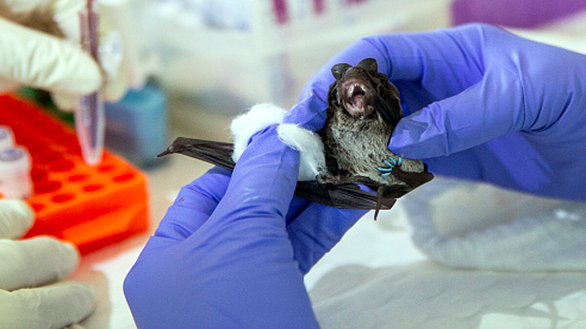 China 24 New Coronavirus