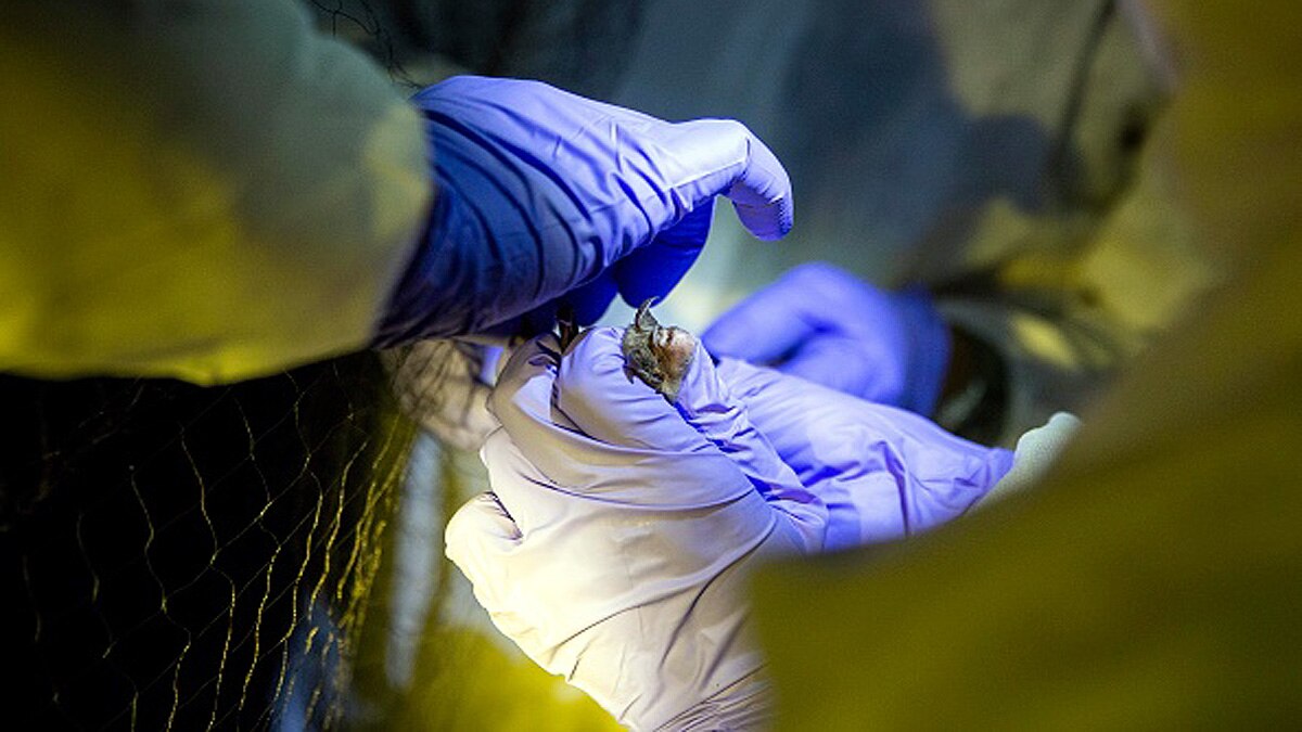 China 24 New Coronavirus