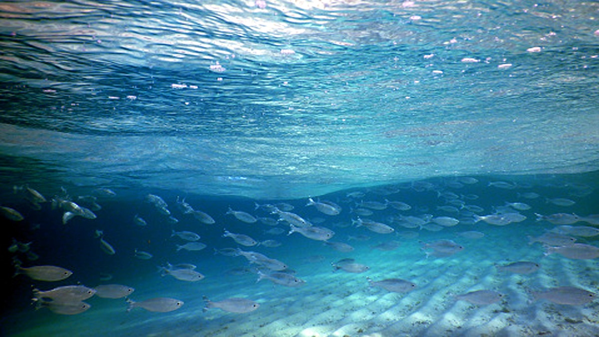 Rising Sea Level Lakshadweep