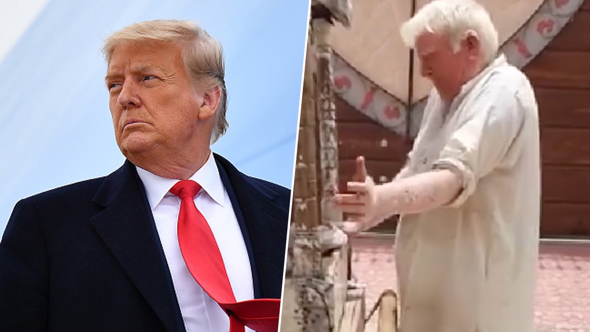 donald trump doppleganger 