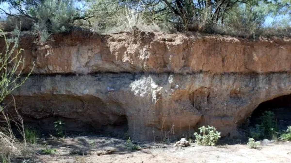 Comet Strike human civilization