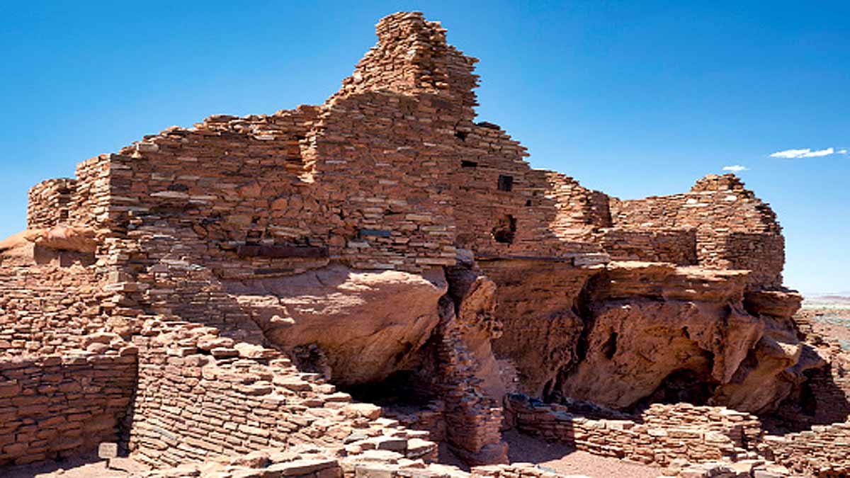 Comet Strike human civilization