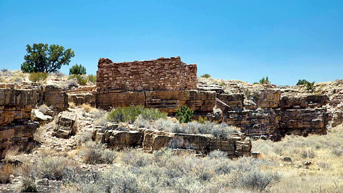 Comet Strike human civilization