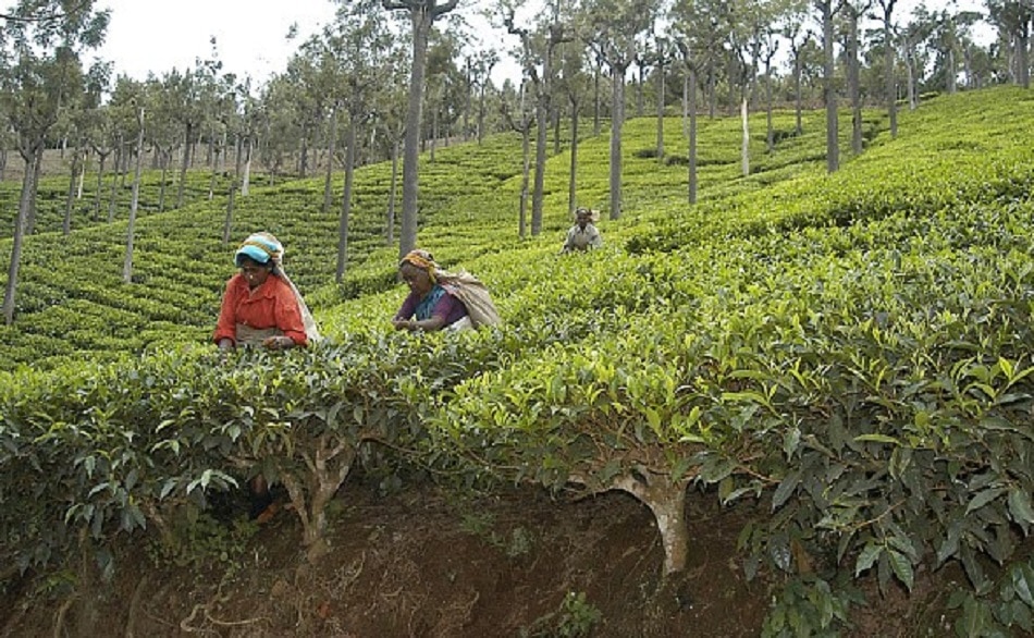 जून में घूमने की बेहतरीन जगह