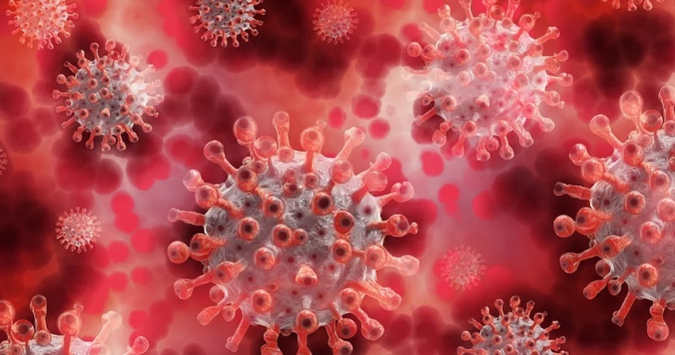 कोविड- 19, 8