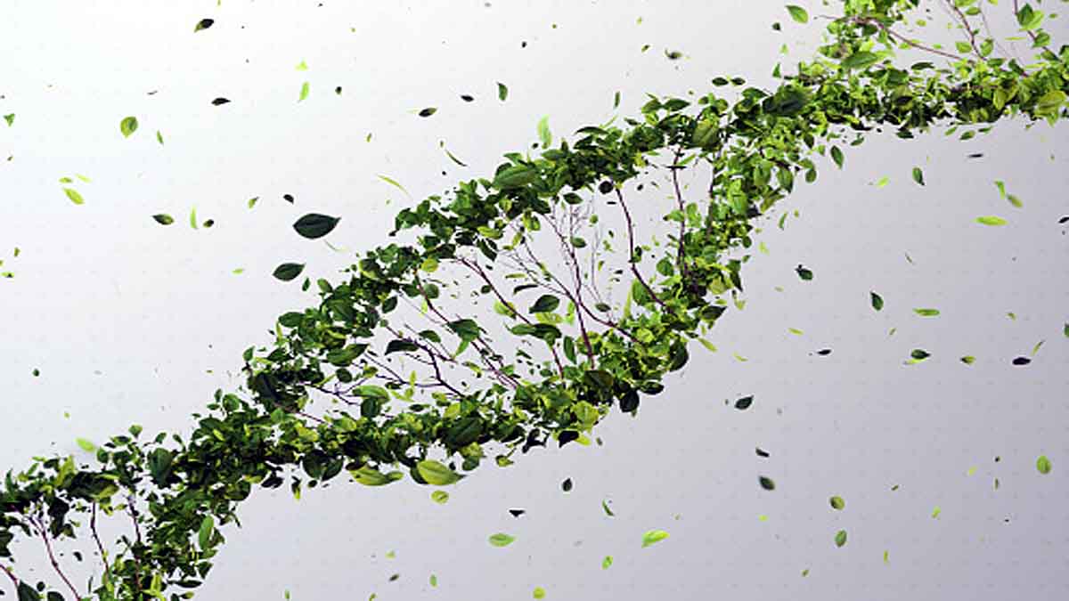 Covid-19 German Research